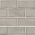 Ackland Akm C 3X6Tlg Ca 3 X 6 Ceramic And Porcelain Solid Wall Tile