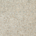 Ackland Akm G Mo12X12Pr Ca Montessa 12 X 12 Glass Penny Floor And Sora