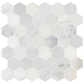 Ackland Akm S 2X2Hxh Ca 12 X 12 Marble Geometric Floor And Wall