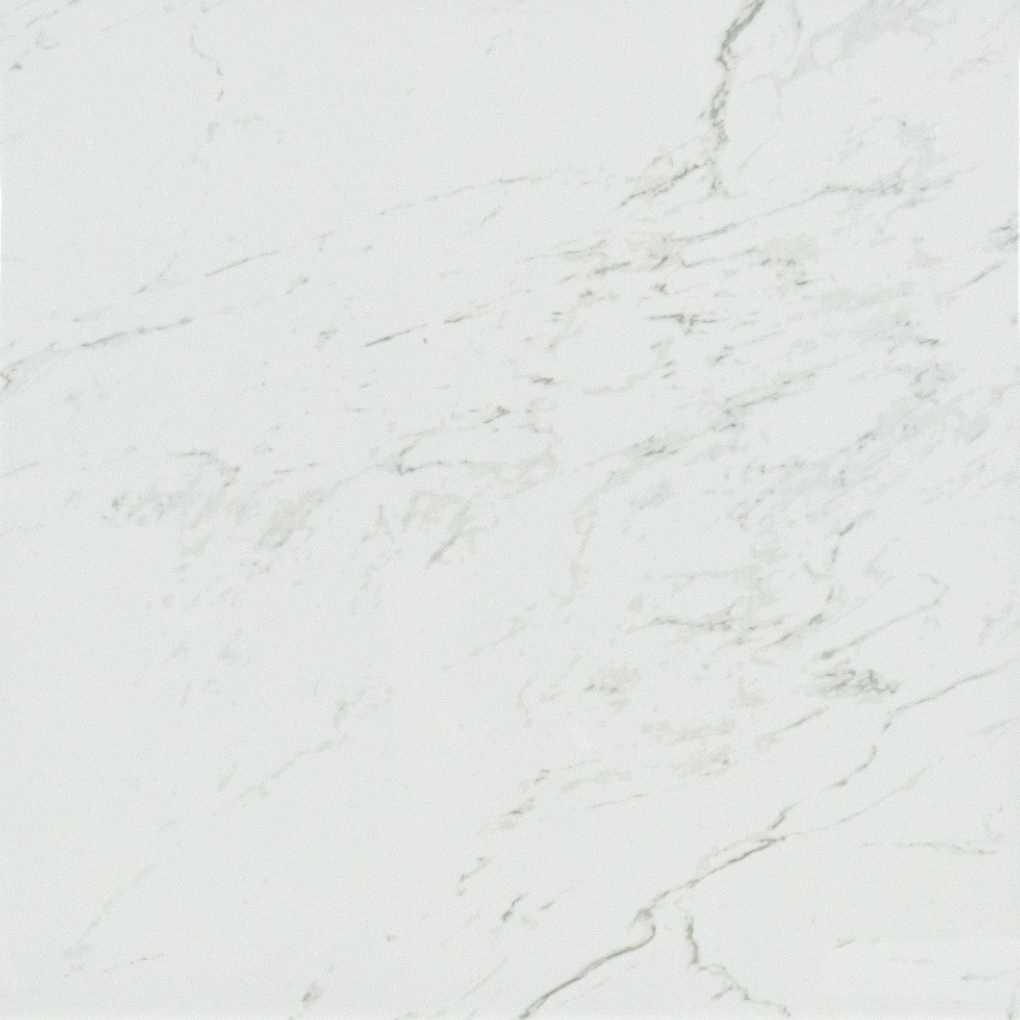 Ackland Aknptast24X24P Ca Astoria 24 X 24 Porcelain Solid Floor