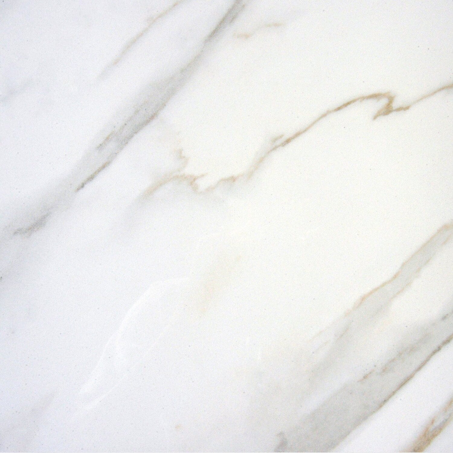 Ackland Aknptast24X24P Pl Astoria 24 X 24 Porcelain Solid Floor