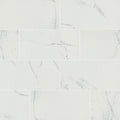 Ackland Aknptchi12X24P Ca Chiara 12 X 24 Porcelain Solid Floor And