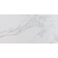 Ackland Aknptchi24X48M Ca Chiara 24 X 48 Porcelain Solid Floor