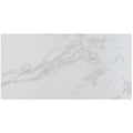 Ackland Aknptchi24X48P Pl Chiara 24 X 48 Porcelain Solid Floor And
