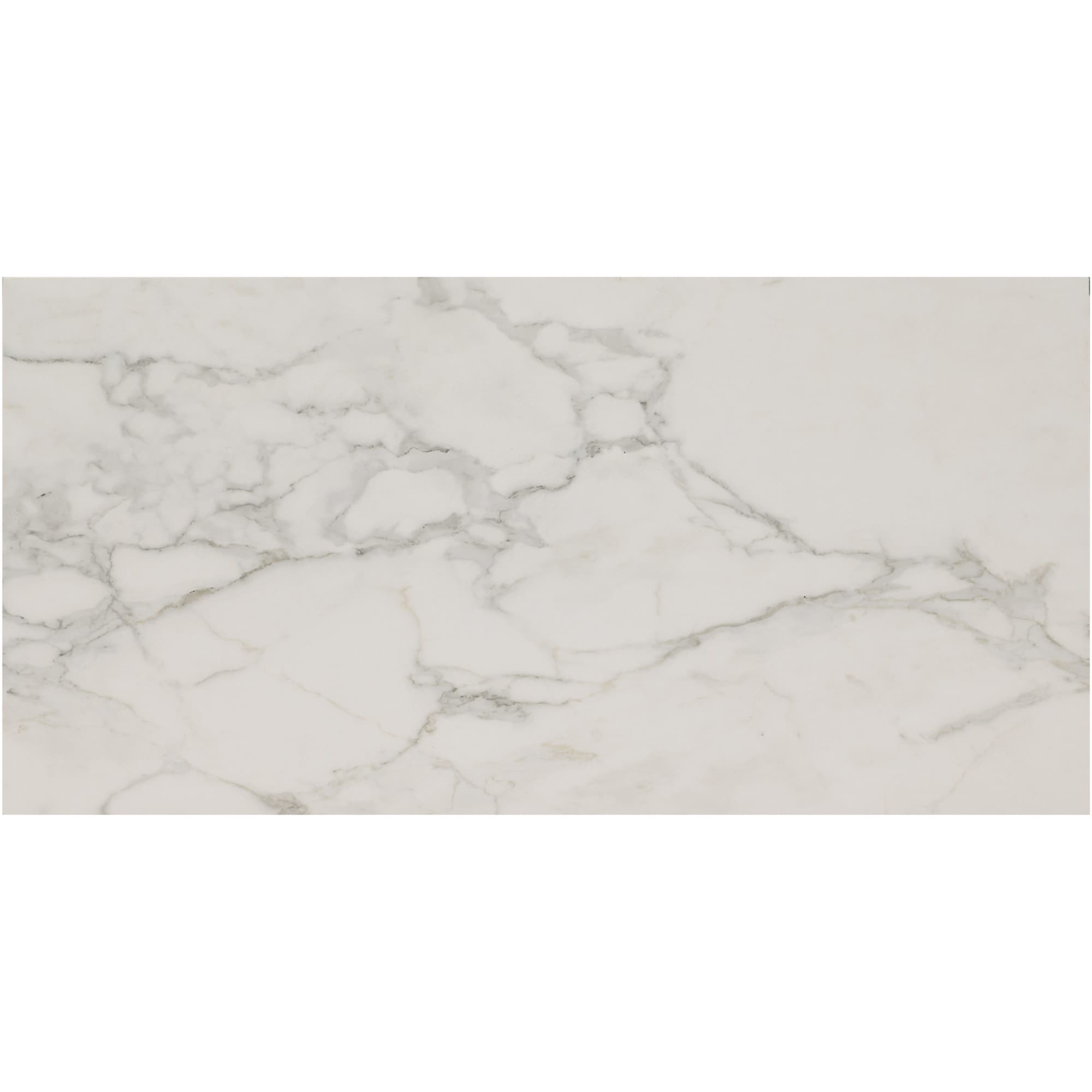 Ackland Aknptpal12X24P Ca Palazza 12 X 24 Porcelain Solid Floor