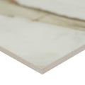Ackland Aknptpal24X24P Ca Palazza 24 X 24 Porcelain Floor Tile