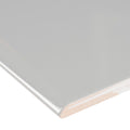 Ackland Aknptseg4X16G Bn Segment 16 X 4 Polished Ceramic Thin Set