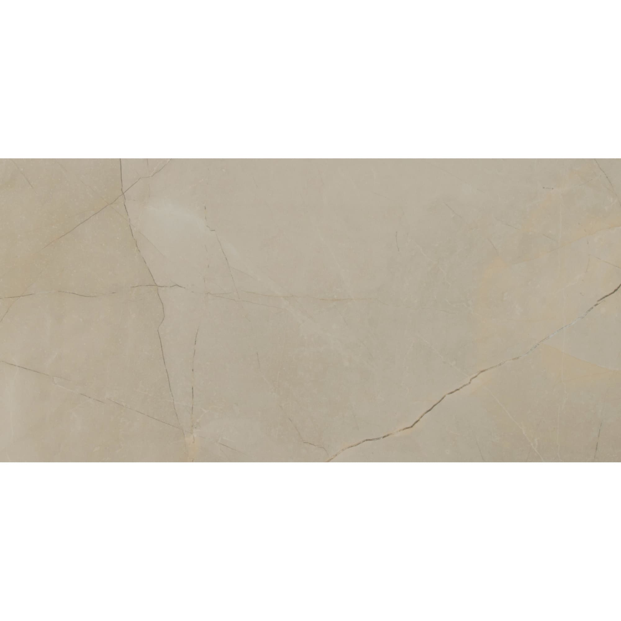 Ackland Aknptson12X24P Ca Sonoma 12 X 24 Porcelain Solid Floor