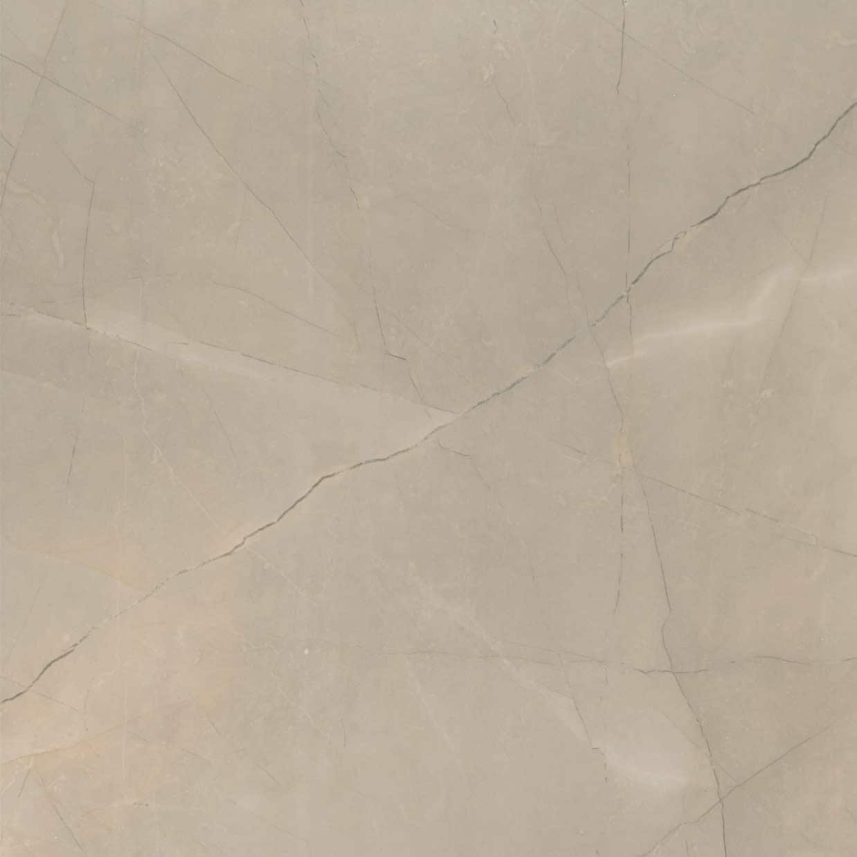 Ackland Aknptson24X24M Ca Sonoma 24 X 24 Porcelain Square Floor