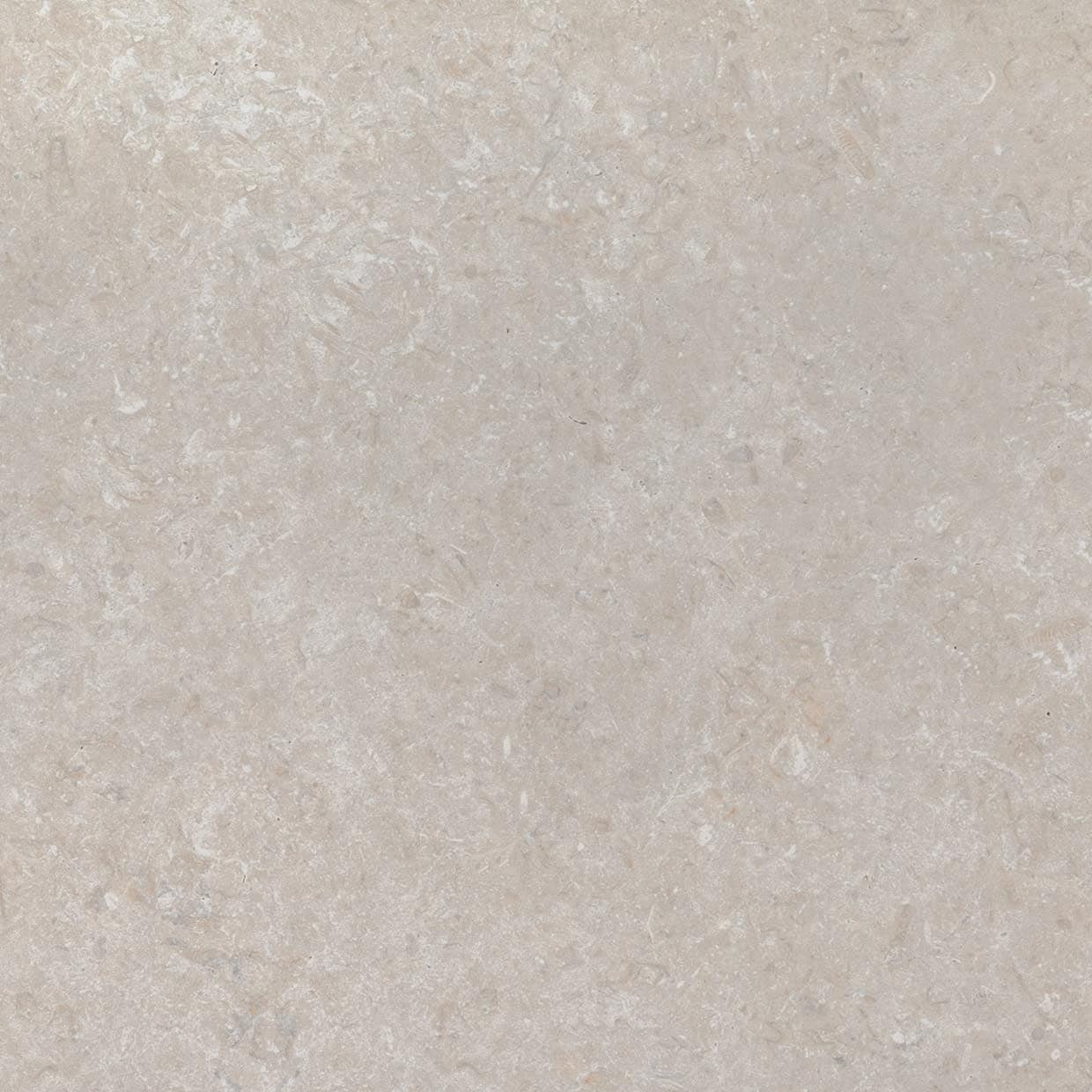 Ackland Aknptwes24X24M Pl Westvale 24 X 24 Porcelain Solid Floor