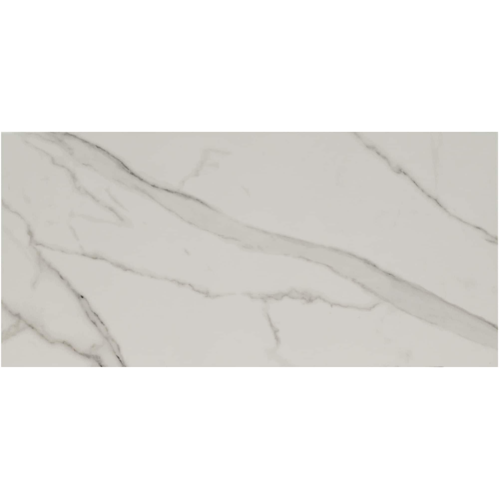 Ackland Aknptzol12X24P Ca Zola 12 X 24 Porcelain Solid Floor And