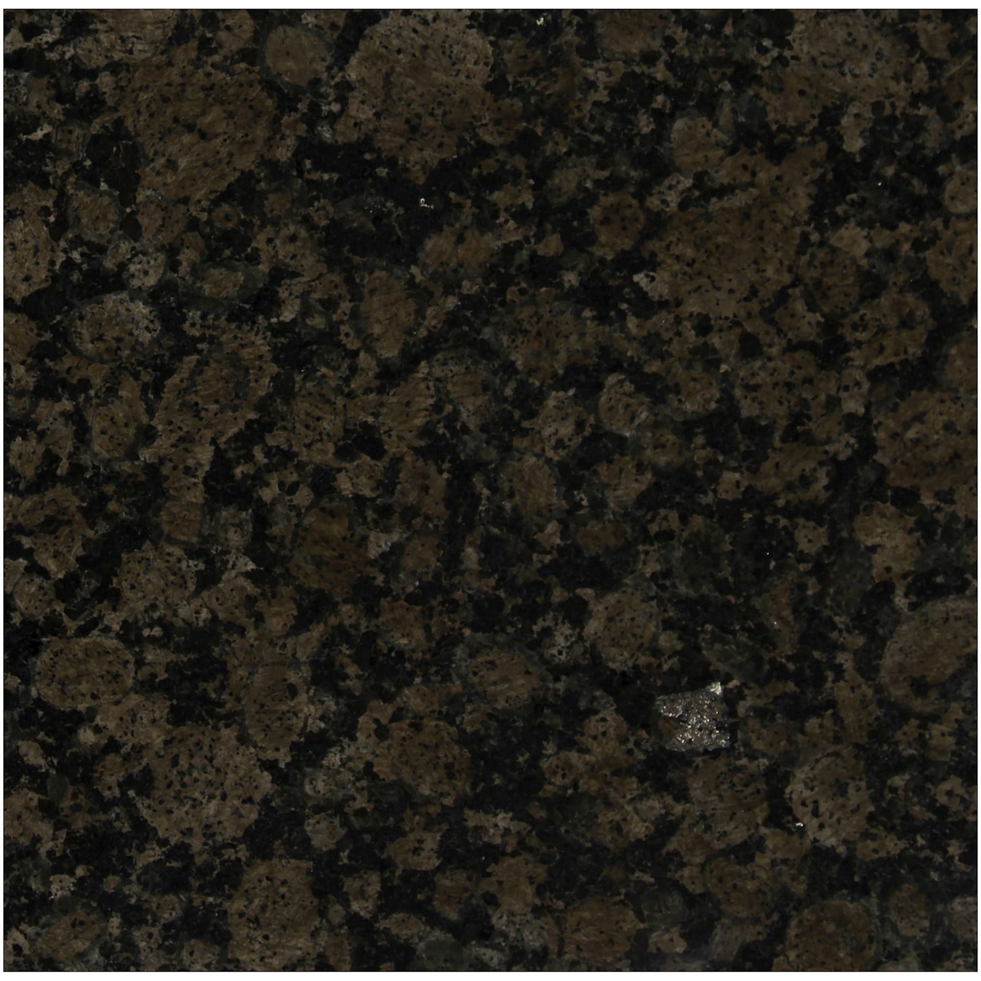 Ackland Aktgt12X12P Ca 12 X 12 Granite Terrazzo Floor And Wall Tile