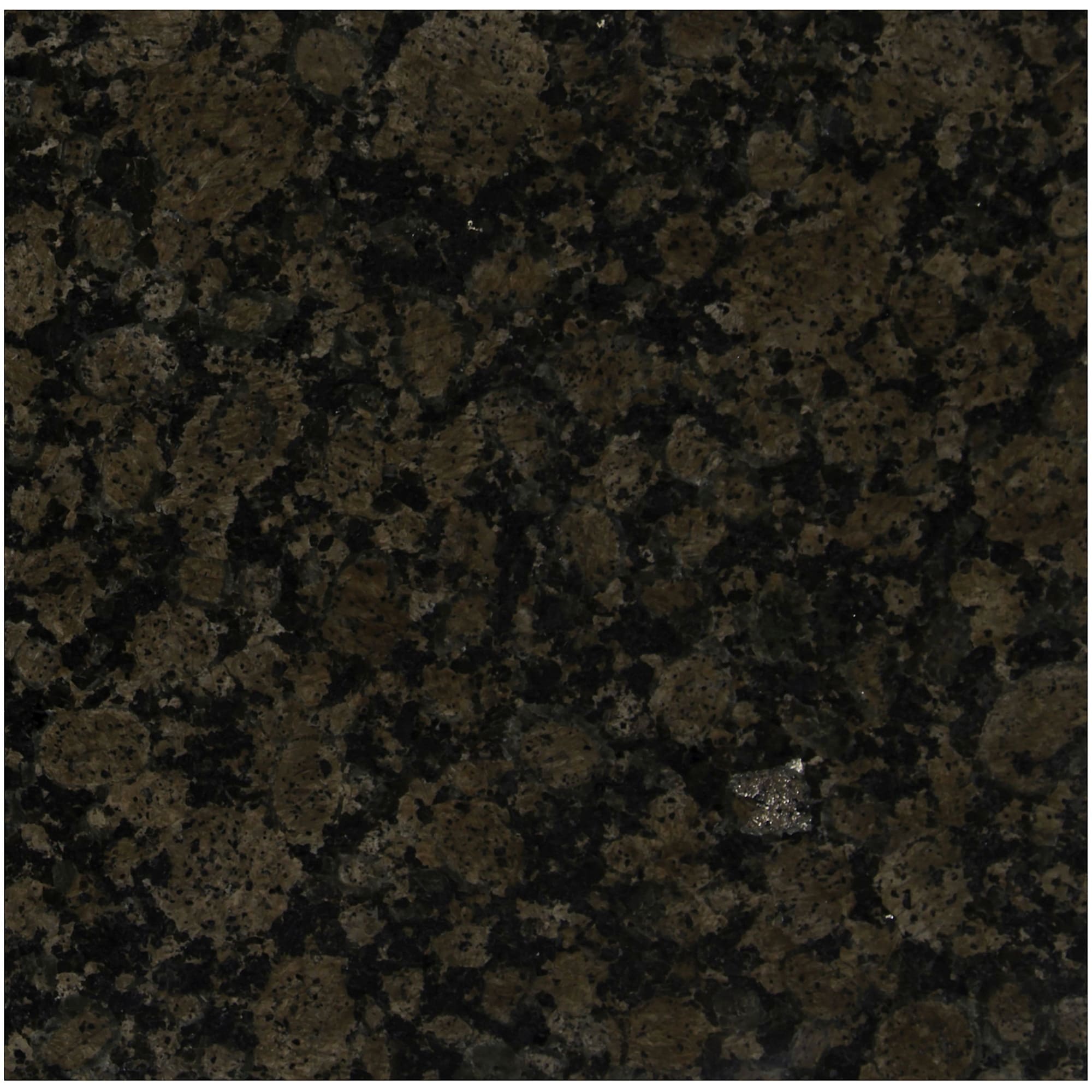 Ackland Aktgt12X12P Pl 12 X 12 Terrazzo Floor And Wall Tile Matte