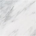 Ackland Aktmt18X18P Pl 18 X 18 Marble Solid Floor And Wall Tile