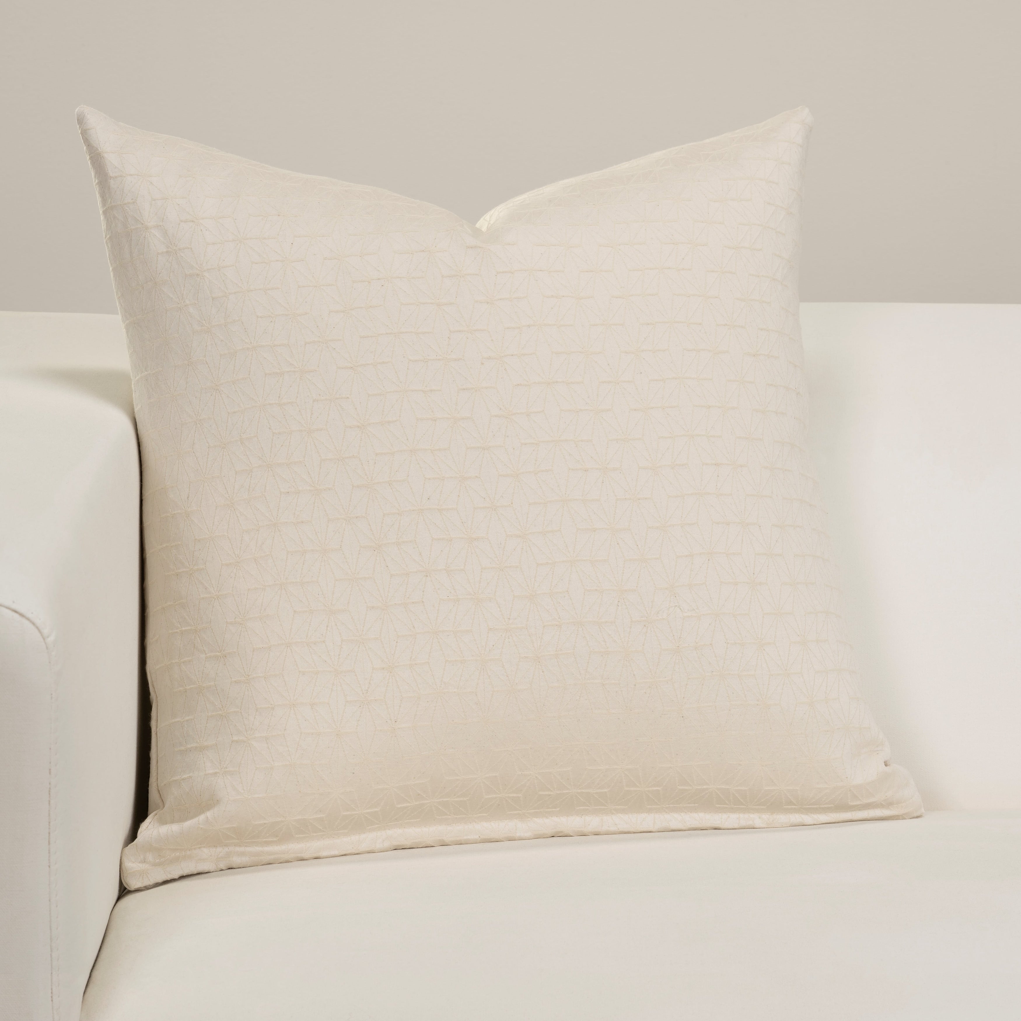 Adam Designer Throw Pillow