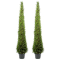 Admired By Nature 6 Foot Artificial Cypress Topiary In Resin Pot Set Of 2