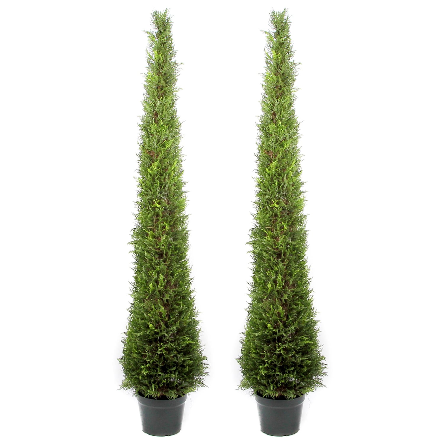 Admired By Nature 6 Foot Artificial Cypress Topiary In Resin Pot Set Of 2