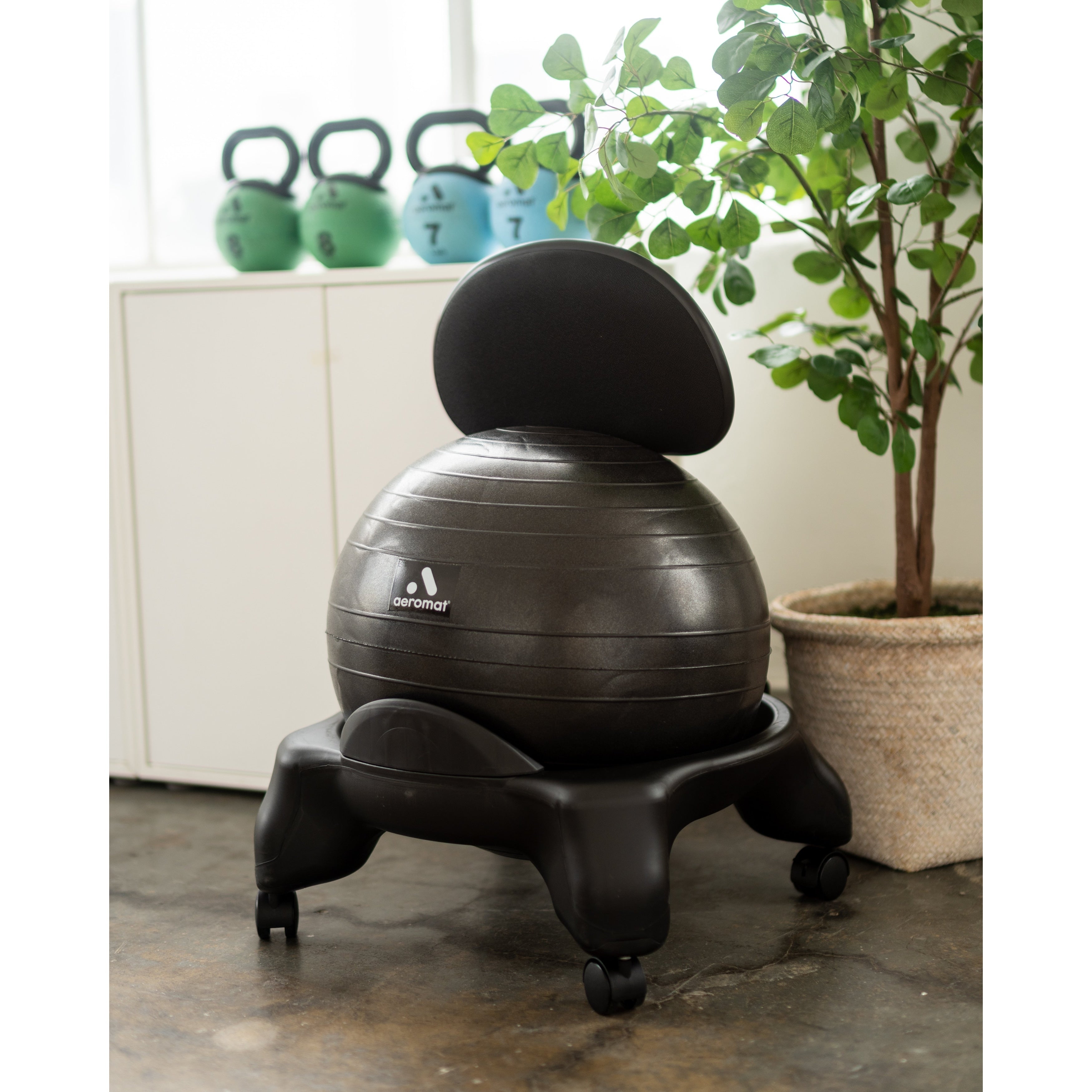 Aeromat Adjustable Fit Ball Chair