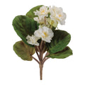 African Violet Flower Bush Set Of 4