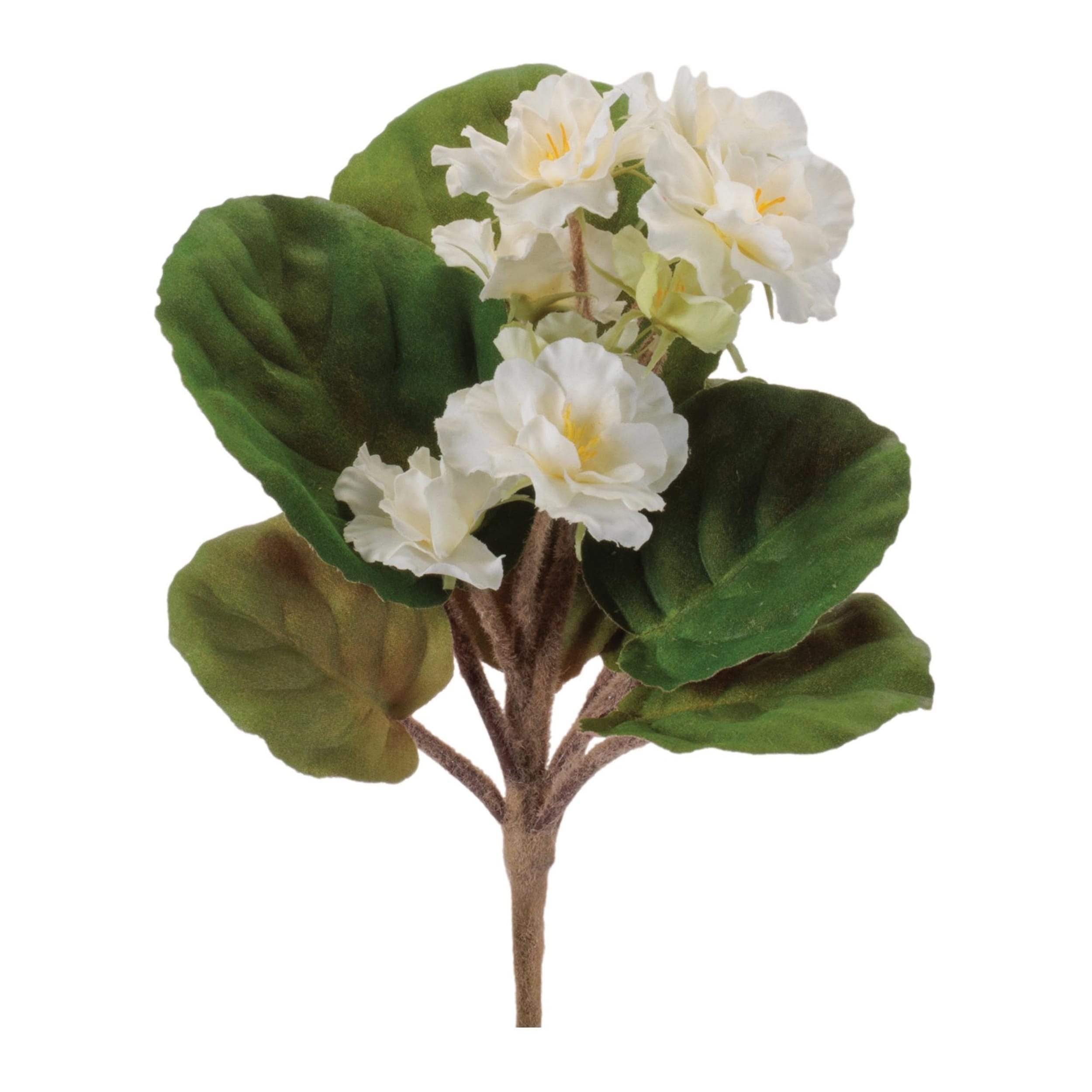African Violet Flower Bush Set Of 4