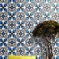 Agadir In Blue And Black Handmade 8X8 In Moroccan Tile Pack Of 12