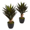 Agave Artificial Plant Set Of 2