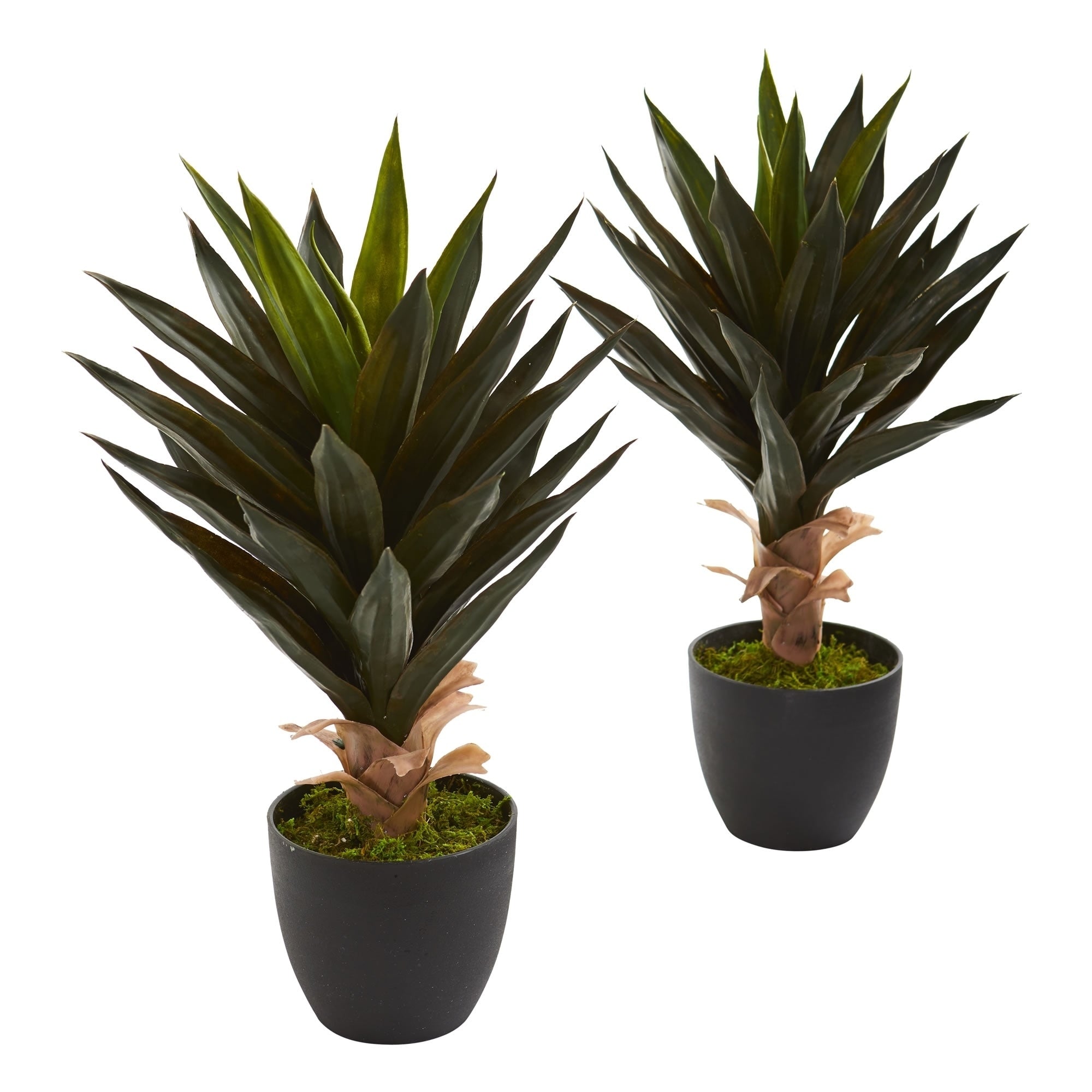 Agave Artificial Plant Set Of 2