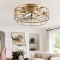 12.5 In Smart Caged Ceiling Fan With Lights 3 E12 Sockets Clear Pc Blades Quiet Dc Motor App Control