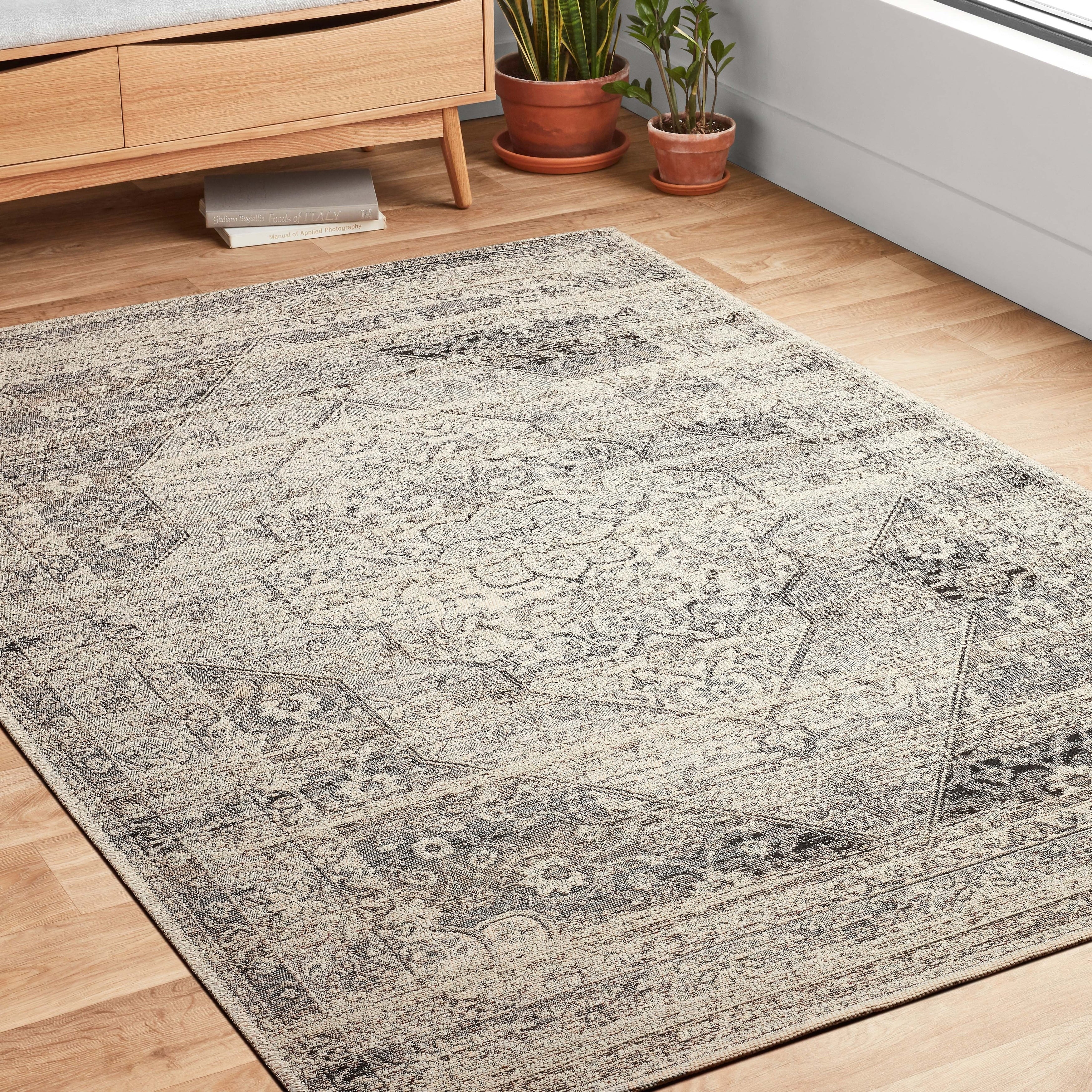 Alexander Home Armanda Tribal Inspired Area Rug