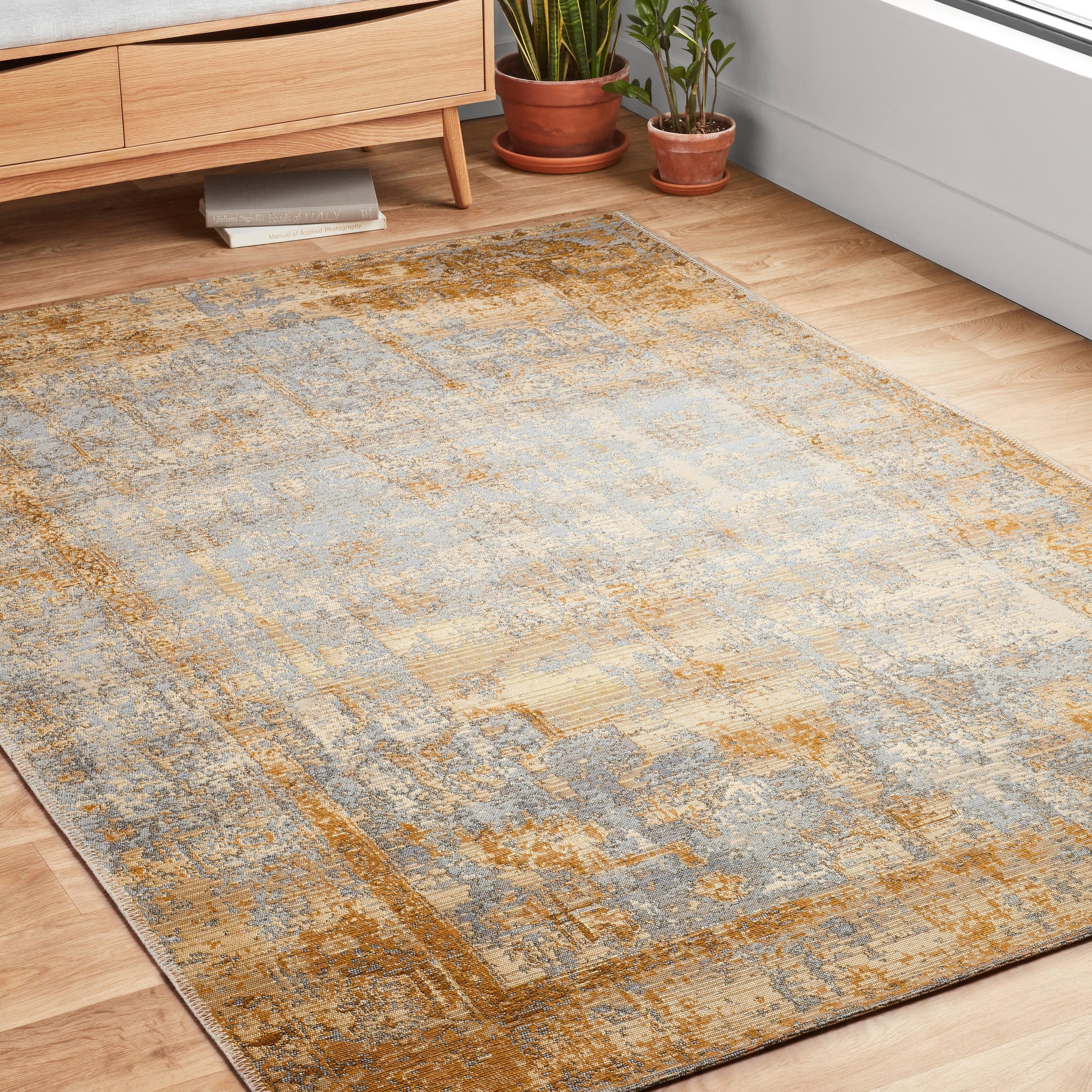 Alexander Home Armanda Tribal Inspired Area Rug