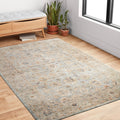 Alexander Home Austen Antique Washed Traditional Inspired Area Rug