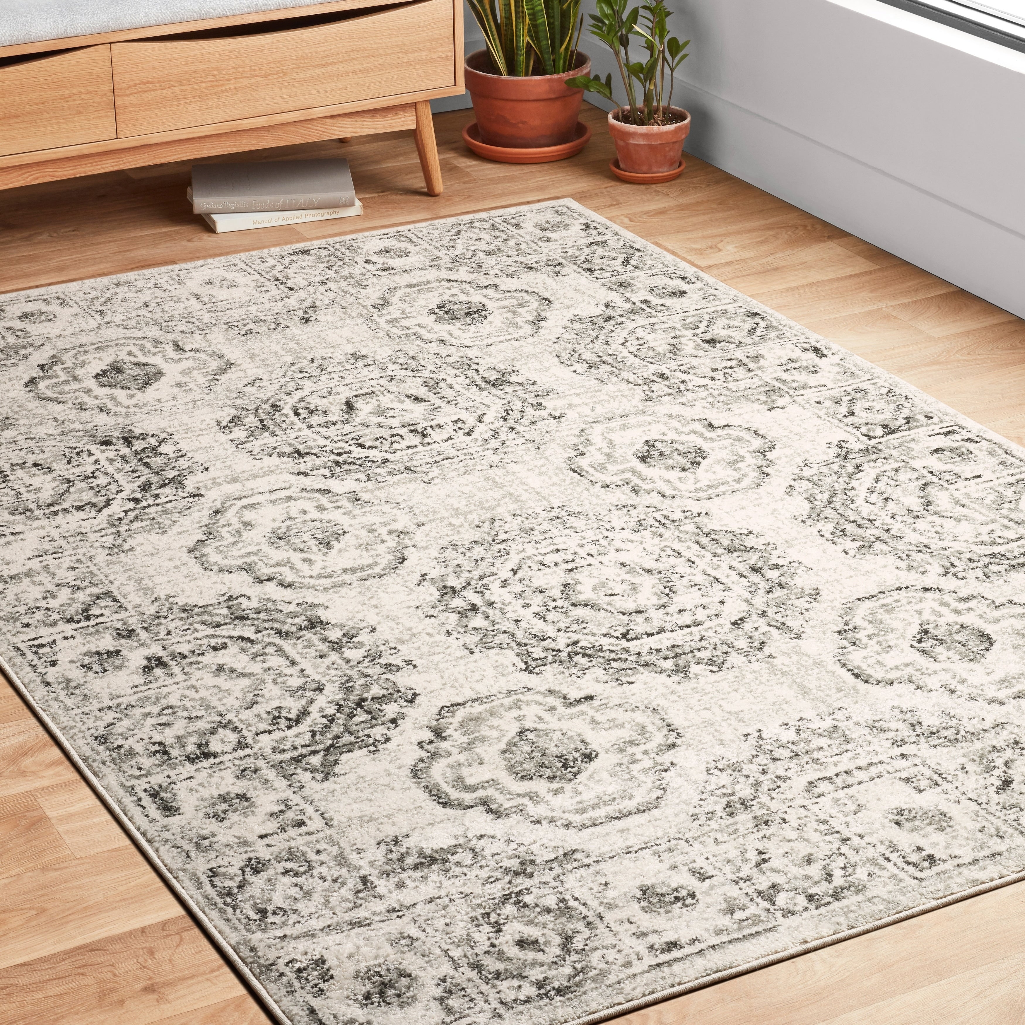 Alexander Home Bellegio Sun Motif Distressed Traditional Rug