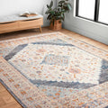 Alexander Home Jennifer Collection Traditional Inspired Area Rug