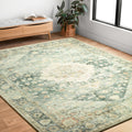 Alexander Home Juliet Floral Ultra Soft Distressed Oriental Rug