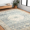 Alexander Home Juliet Ultra Soft Distressed Medallion Rug