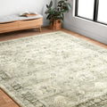 Alexander Home Juliet Ultra Soft Distressed Persian Border Rug