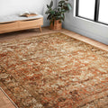 Alexander Home Luciano Tabacco Distressed Oriental Rug