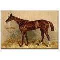 Alfred Conbould Book Of The Horse Gallery Wrapped Canvas Art