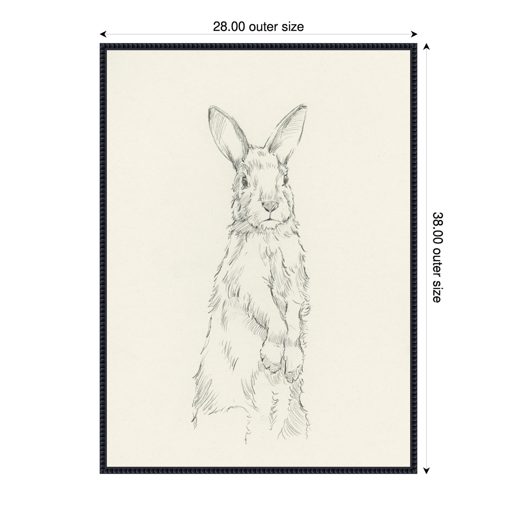 All Ears I By Ethan Harper Framed Canvas Wall Art Print