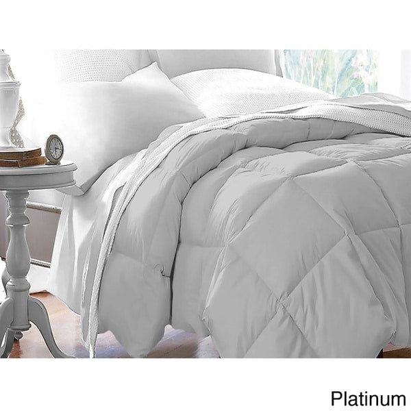 All Season Microfiber Down Blend Color Comforter