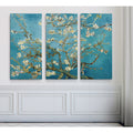 Almond Blossomhac17M 116 3P