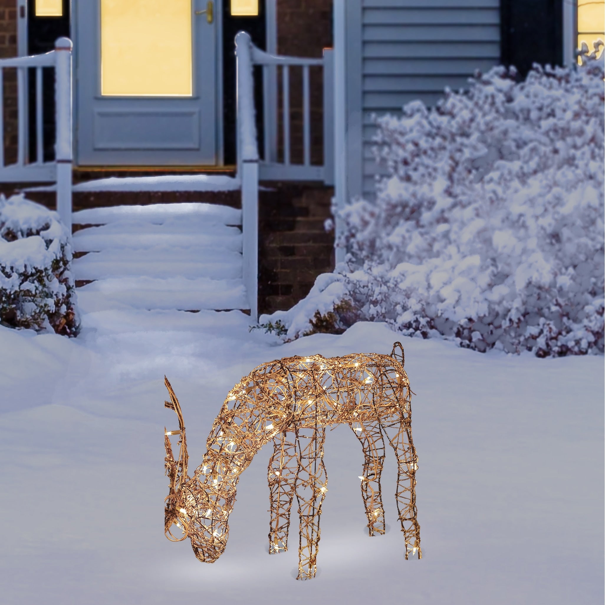 Alpine Grazing Rattan Reindeer With 50 Plug In Halogen Lights 25 Inch Tall