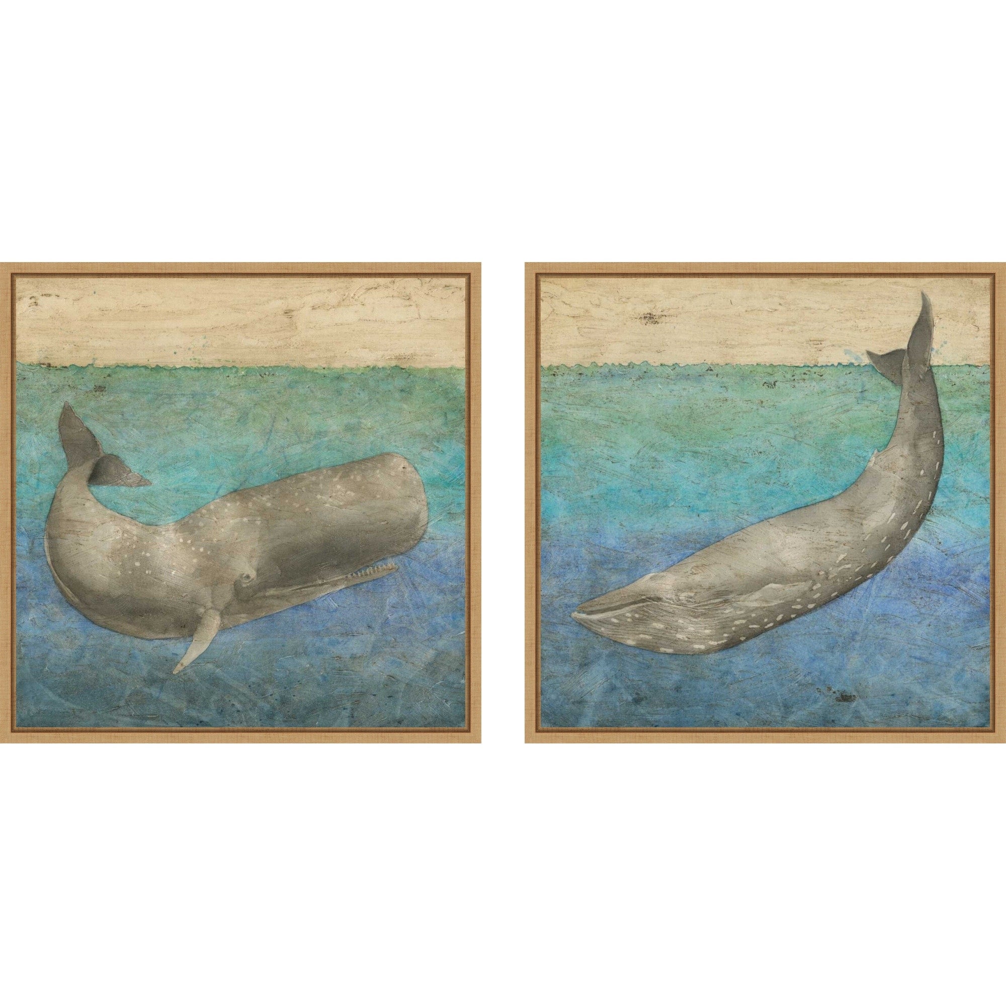 Amanti Art Diving Whale No. 1 No. 2 2 Piece By Megan Meagher Framed Canvas Wall Art
