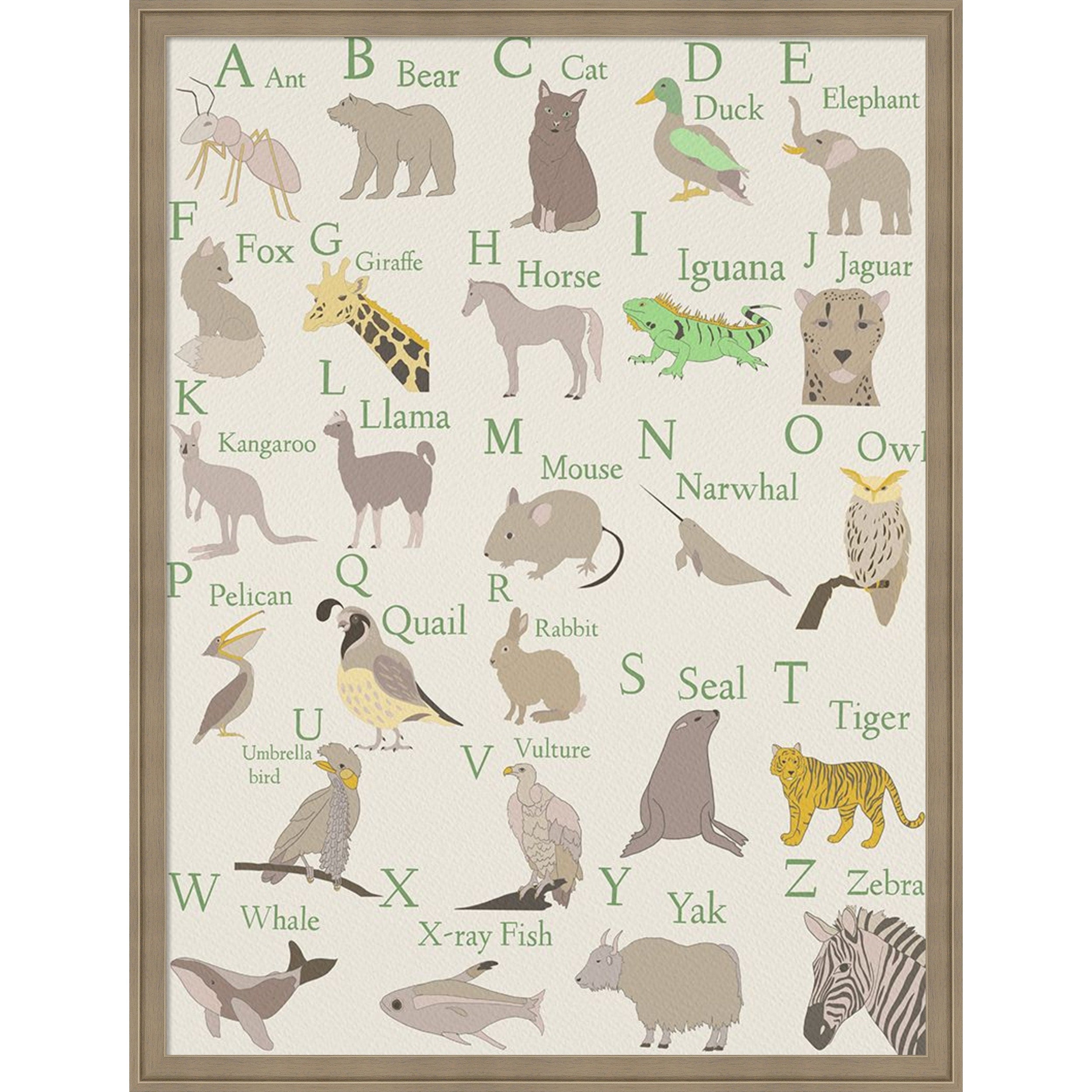 Amanti Art Framed Fabric Pinboard Animal Alphabet Ii By Regina Moore Printed Bulletin Board Board Size 24 X 32