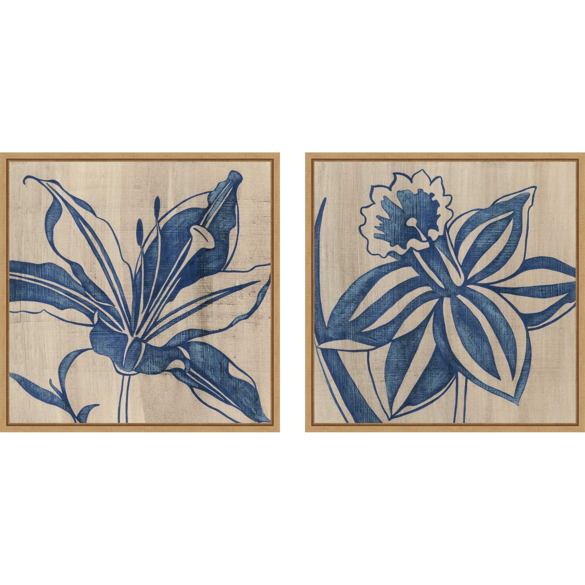 Amanti Art Indigo Lily Daffodil 2 Piece By Chariklia Zarris Framed Canvas Wall Art