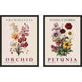 Amanti Art Vintage Orchid Petunia Hydrangea 2 Piece By Christopher Giampietro Framed Canvas Wall Art
