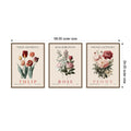 Amanti Art Vintage Rose Peony And Tulip 3 Piece By Christopher Giampietro Framed Canvas Wall Art
