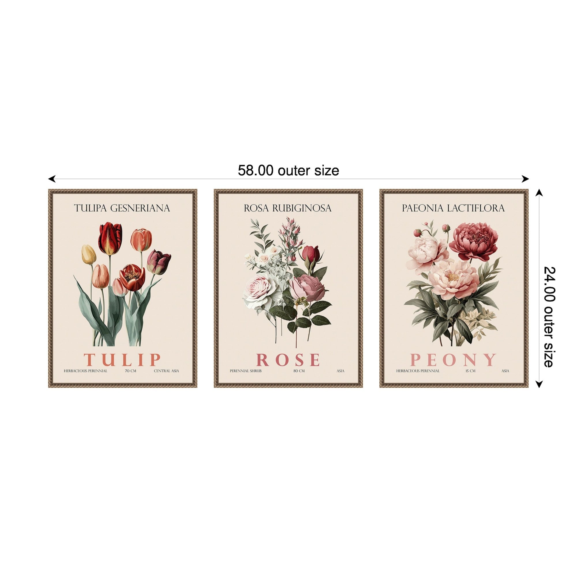 Amanti Art Vintage Rose Peony And Tulip 3 Piece By Christopher Giampietro Framed Canvas Wall Art