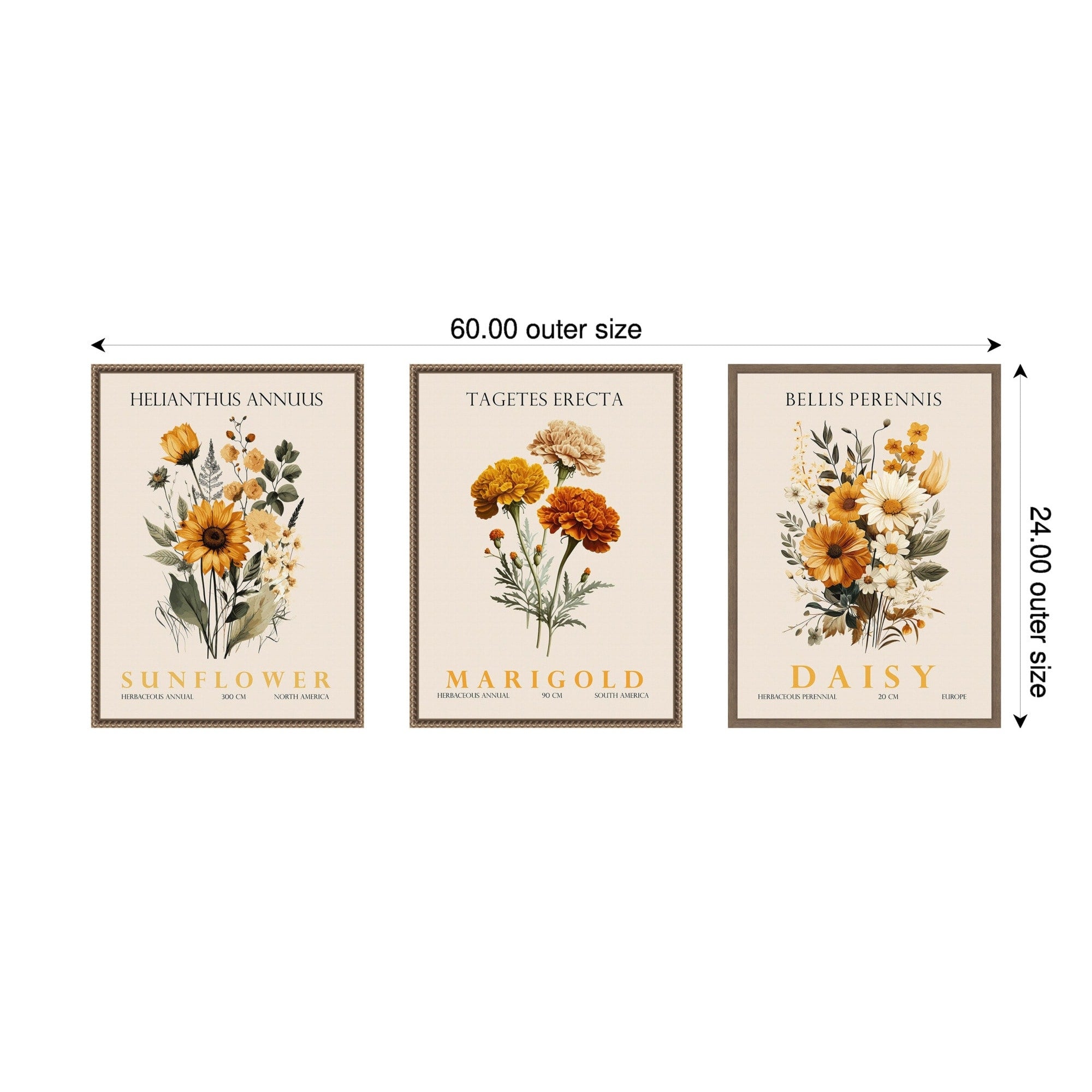 Amanti Art Vintage Sunflower Marigold And Daisy 3 Piece By Christopher Giampietro Framed Canvas Wall Art