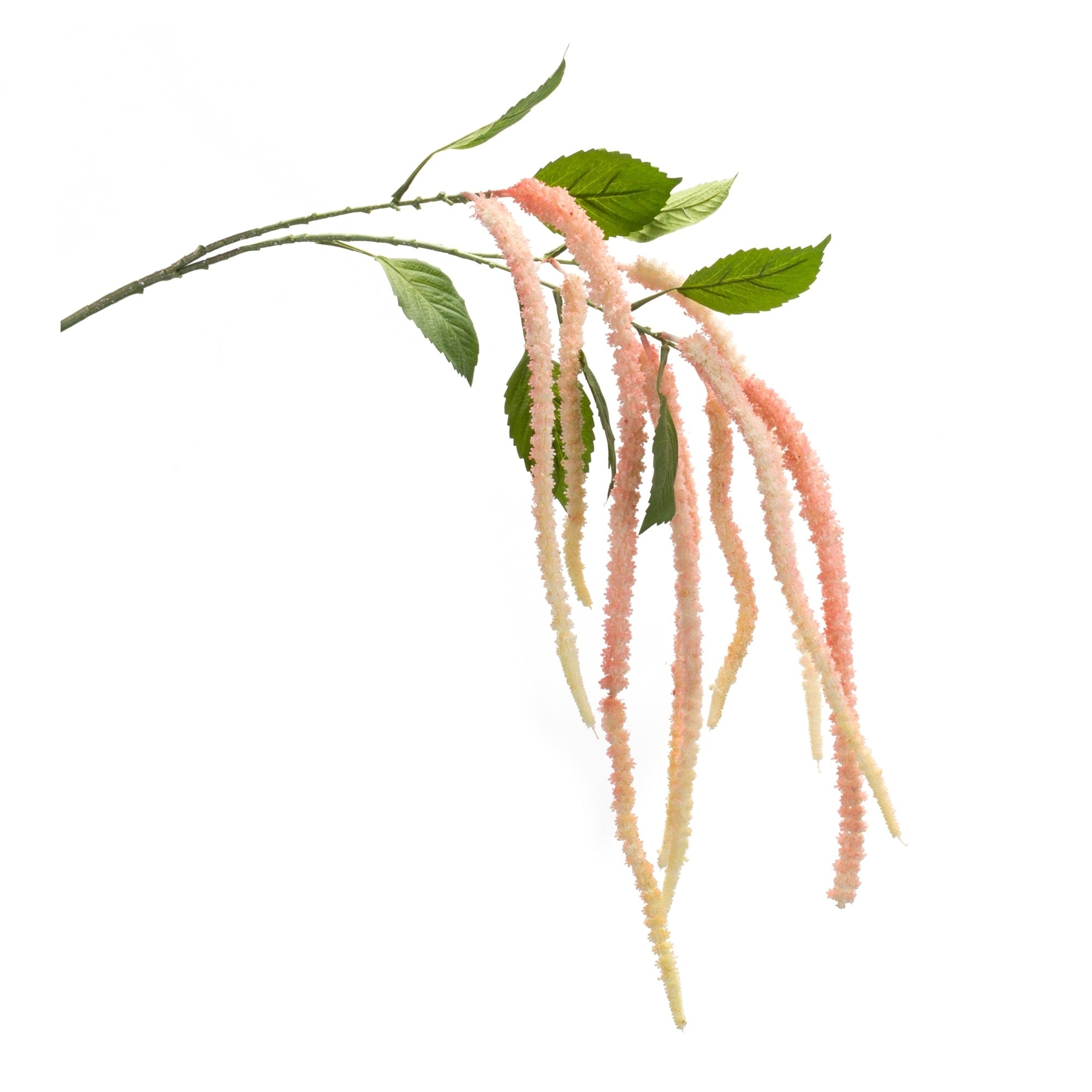 Amaranthus Floral Stem Set Of 4